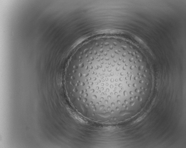 X0000080131017200612221851