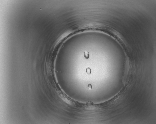 X0000080131018200612221852