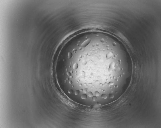 X0000080131020200612221852