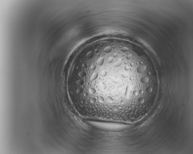 X0000080131021200612221852