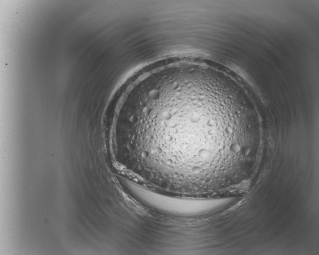 X0000080131022200612221852