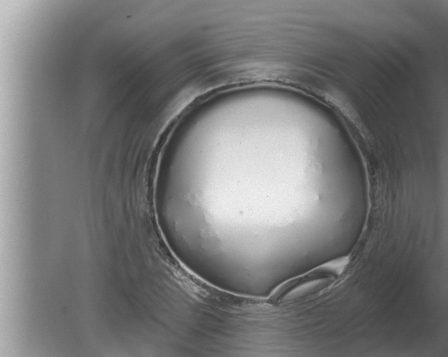 X0000080131023200612221852