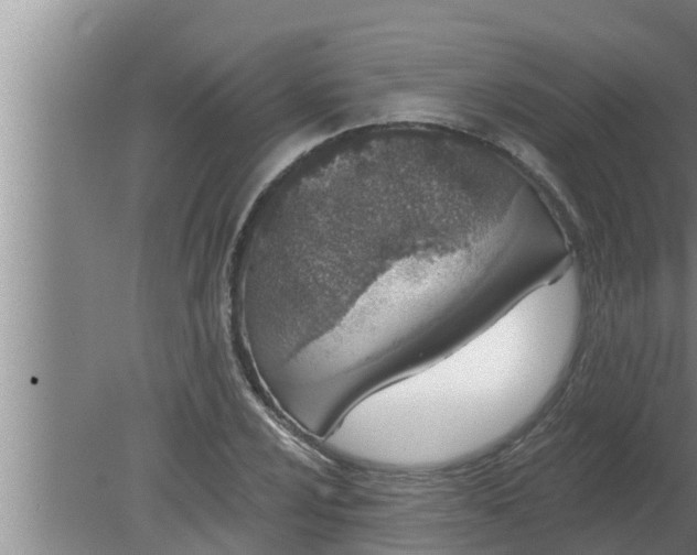 X0000080131024200612221852