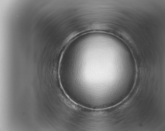 X0000080131025200612221852