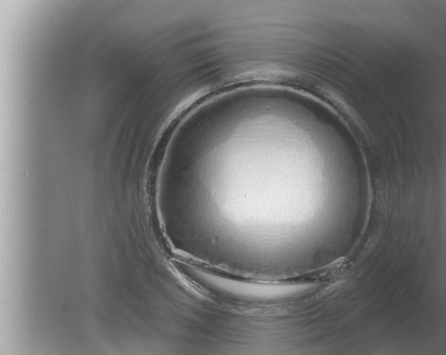 X0000080131026200612221852