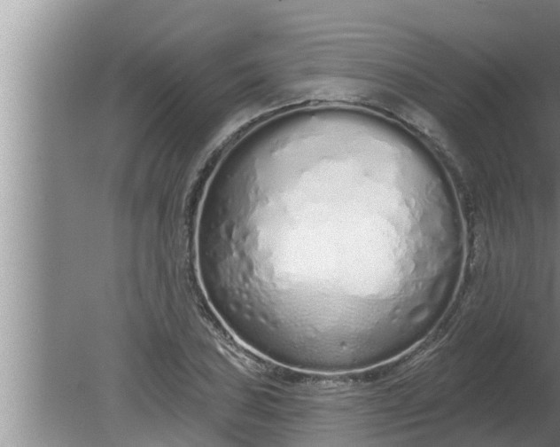 X0000080131027200612221852