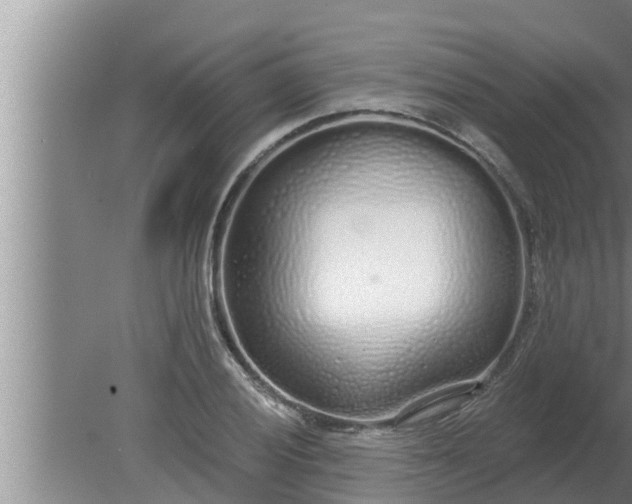 X0000080131028200612221852