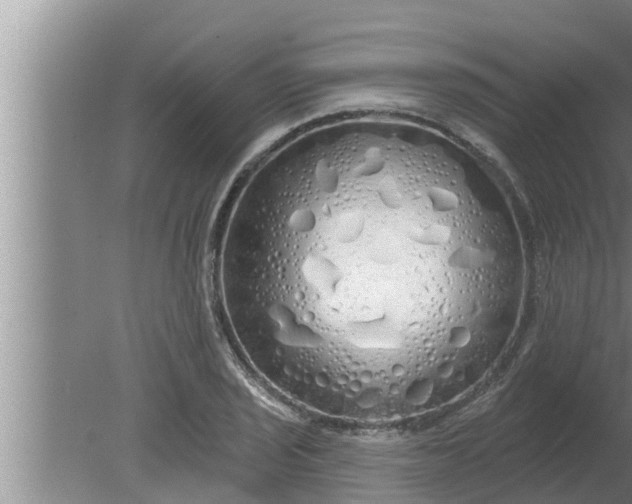 X0000080131029200612221852