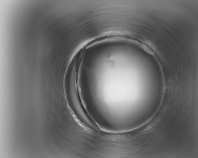 X0000080131030200612221852