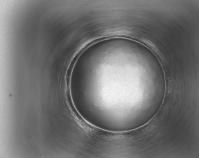 X0000080131031200612221852