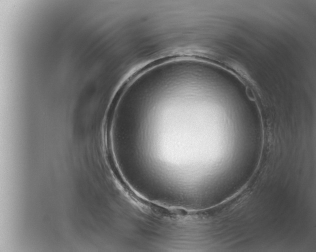 X0000080131032200612221852