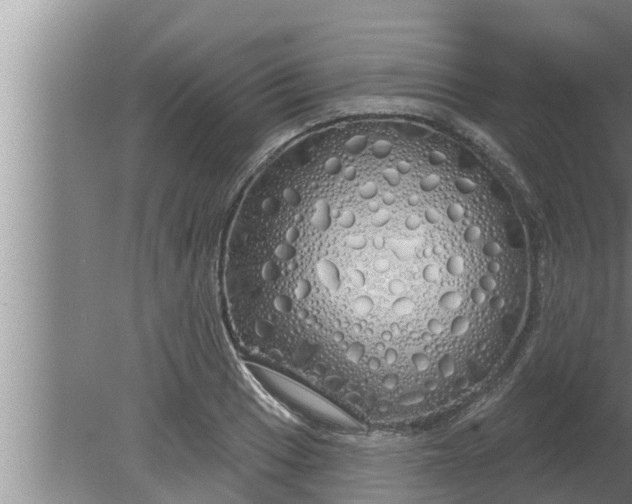 X0000080131033200612221852