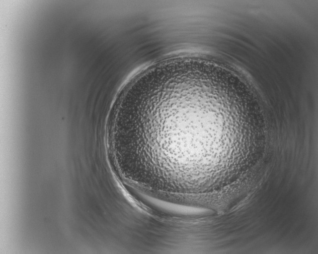 X0000080131034200612221852