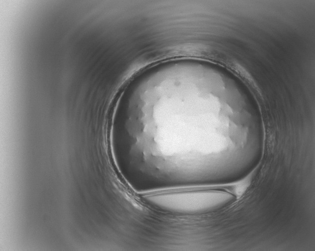 X0000080131035200612221852