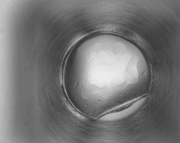 X0000080131036200612221852