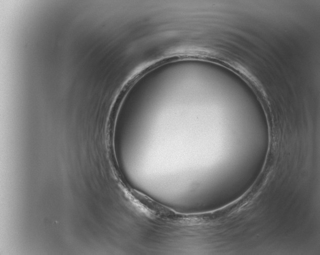 X0000080131037200612221852