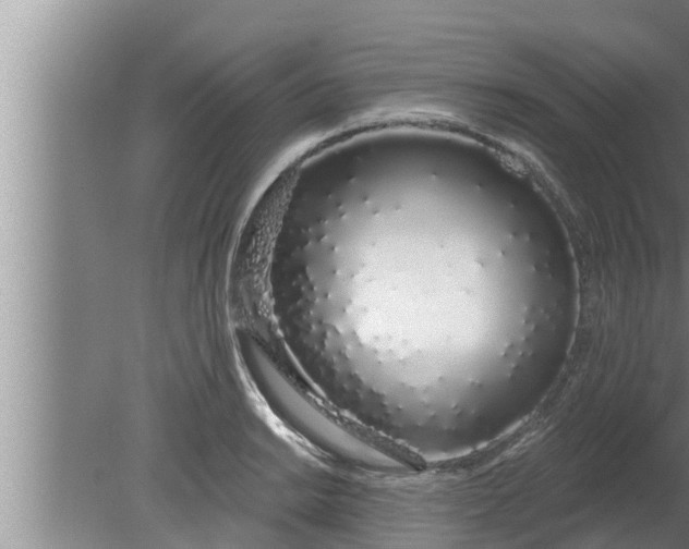 X0000080131038200612221852