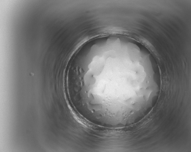 X0000080131039200612221852