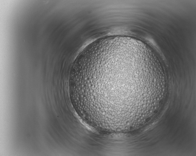 X0000080131041200612221852