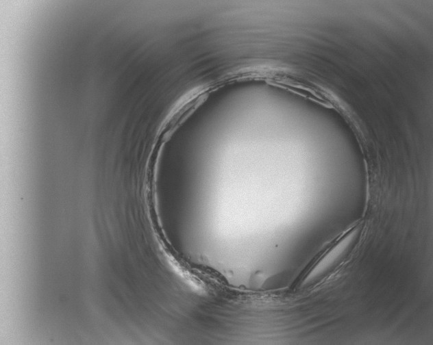 X0000080131042200612221852