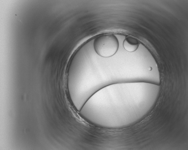 X0000080131044200612221852