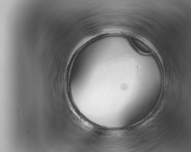 X0000080131045200612221852