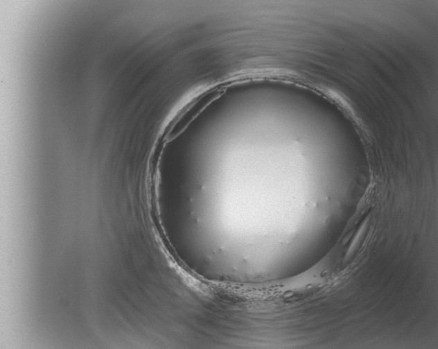 X0000080131046200612221852