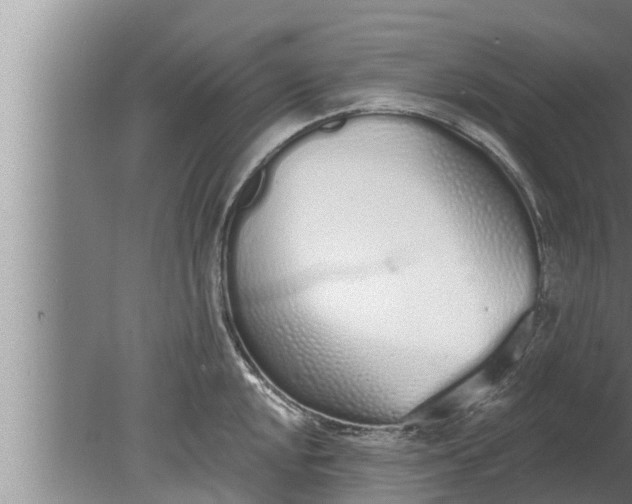 X0000080131048200612221852