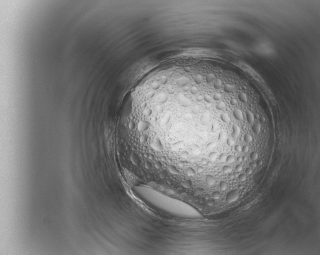 X0000080131049200612221852