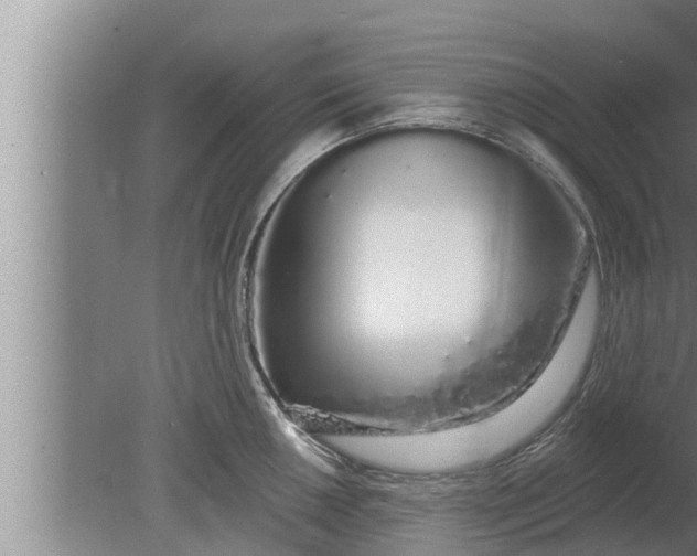 X0000080131050200612221852