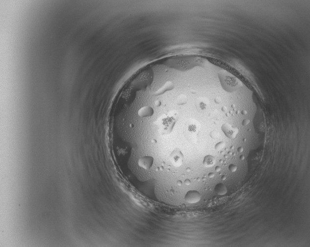 X0000080131051200612221852