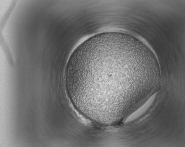 X0000080131053200612221852