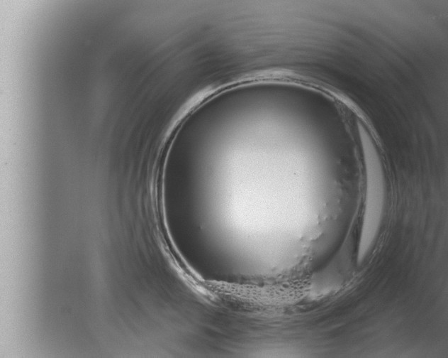 X0000080131054200612221852