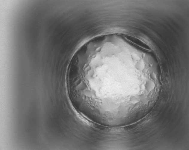 X0000080131055200612221852