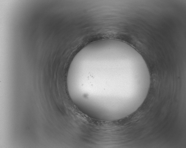 X0000080131057200612221851