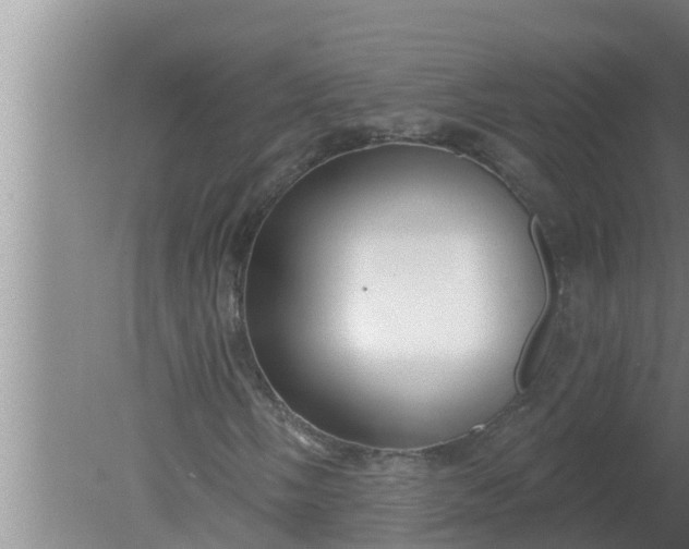 X0000080131058200612221851