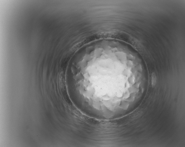 X0000080131059200612221851