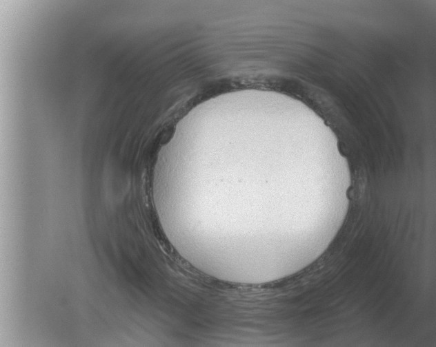 X0000080131060200612221851