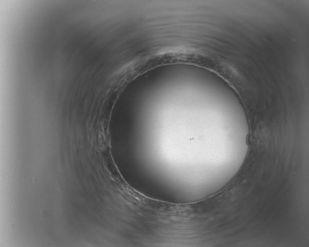 X0000080131062200612221851