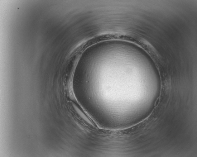 X0000080131064200612221851