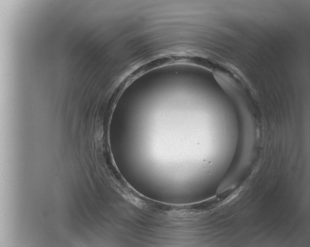 X0000080131065200612221851