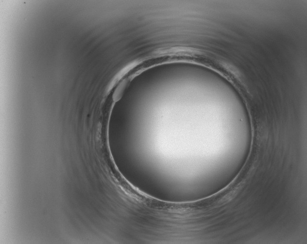 X0000080131066200612221851