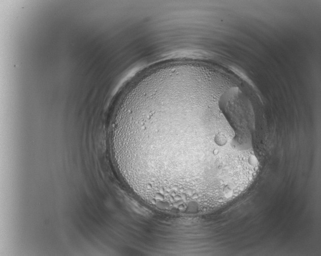 X0000080131067200612221851