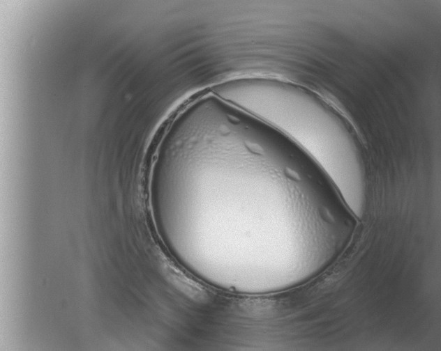 X0000080131068200612221851