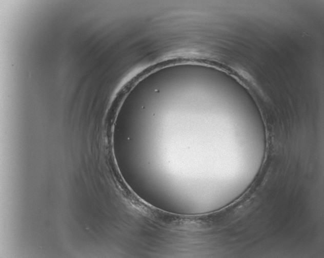 X0000080131070200612221851