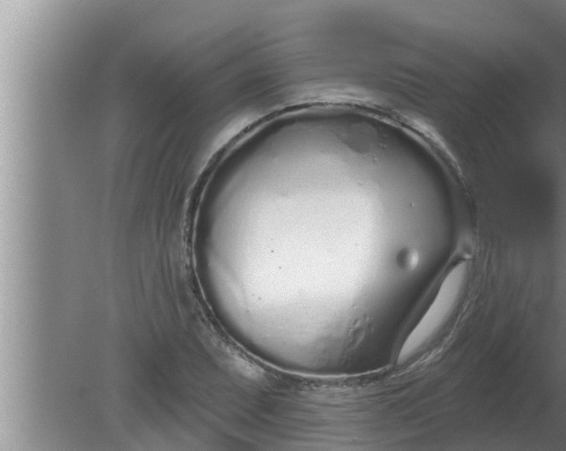 X0000080131071200612221851