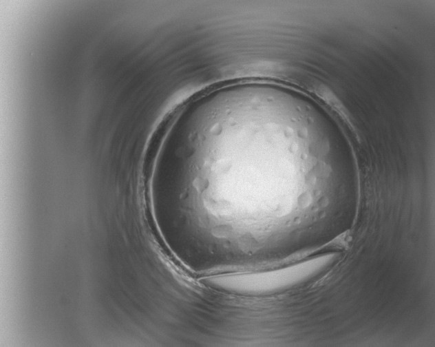 X0000080131072200612221851