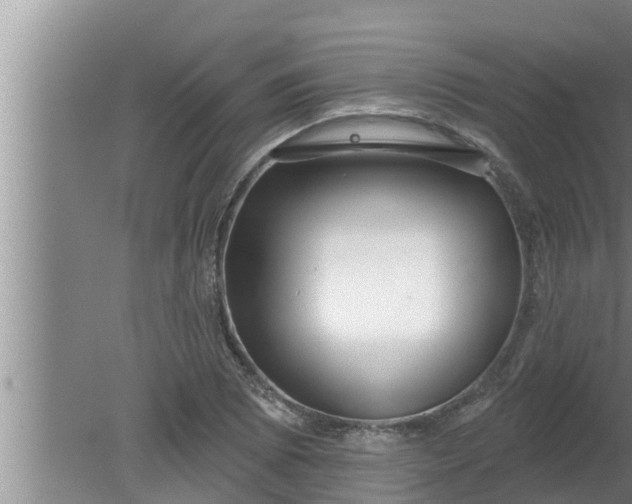 X0000080131073200612221851