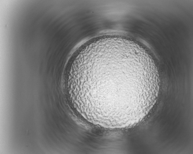 X0000080131074200612221851