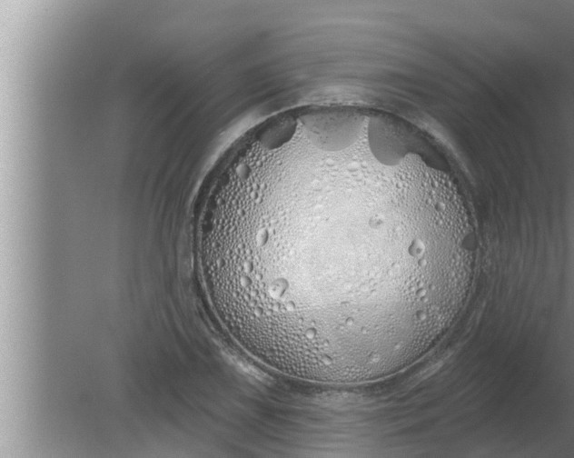 X0000080131075200612221851